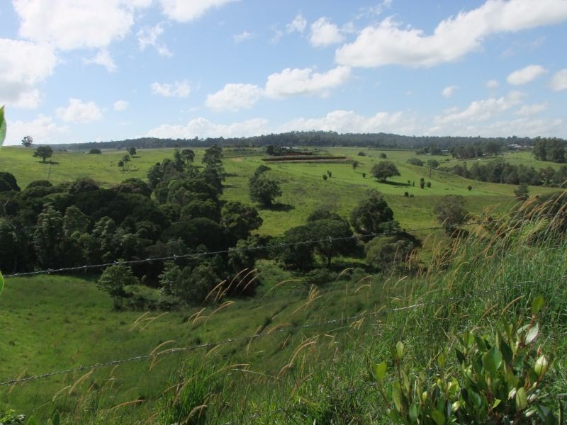 Yungaburra QLD 4884