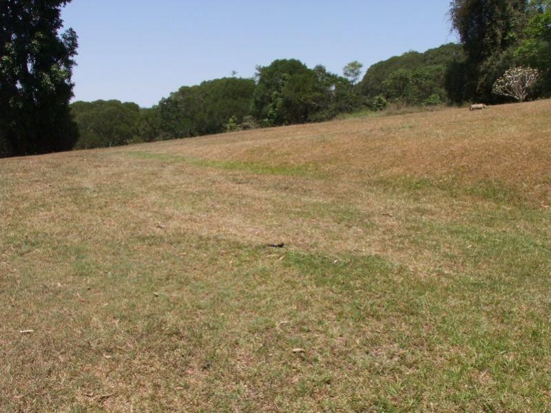 Yungaburra QLD 4884