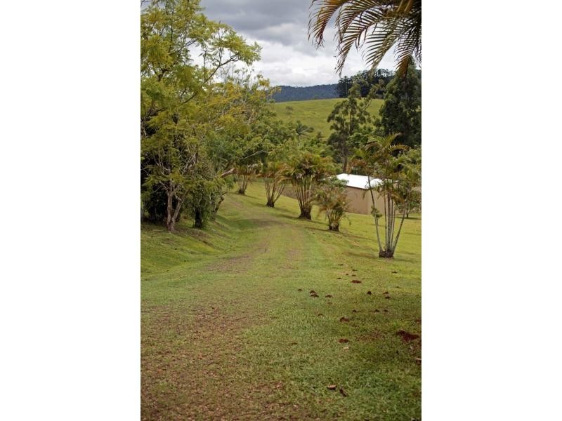 Millaa Millaa QLD 4886