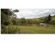 Millaa Millaa QLD 4886