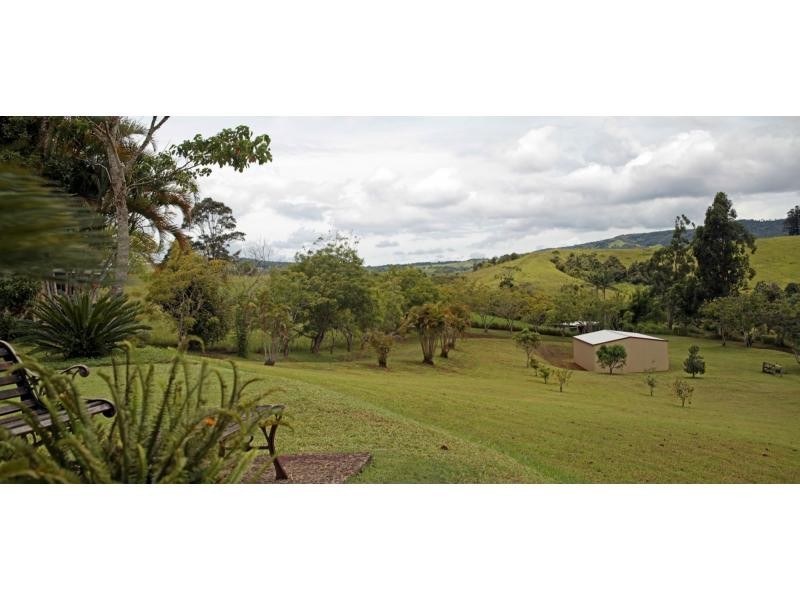 Millaa Millaa QLD 4886
