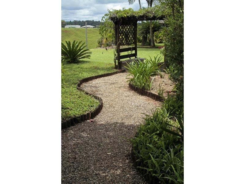 Millaa Millaa QLD 4886