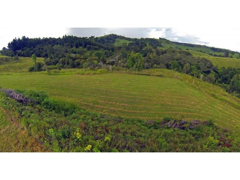 Millaa Millaa QLD 4886