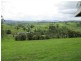 Millaa Millaa QLD 4886