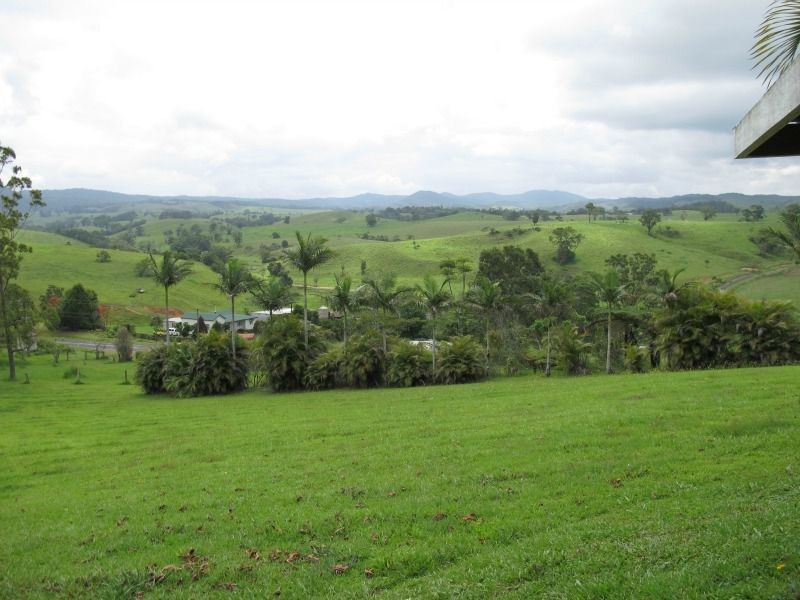 Millaa Millaa QLD 4886