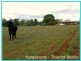 Yungaburra QLD 4884