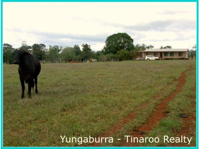 Yungaburra QLD 4884