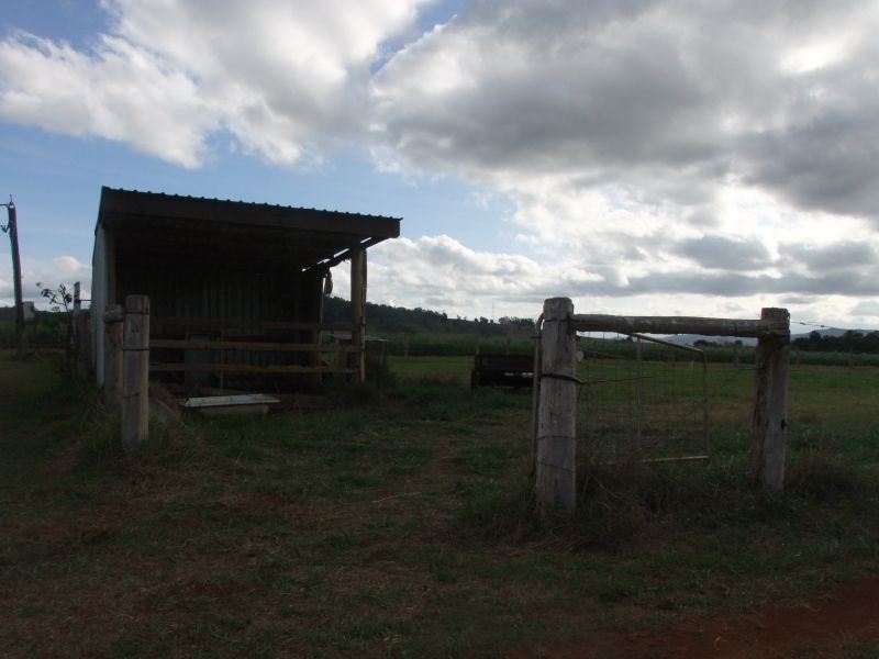 Yungaburra QLD 4884