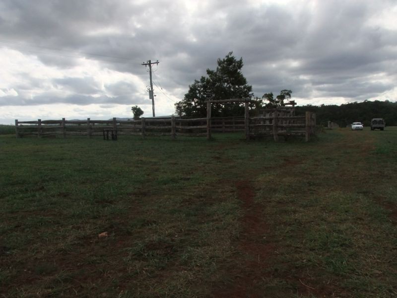 Yungaburra QLD 4884