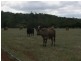 Yungaburra QLD 4884