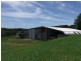 Yungaburra QLD 4884