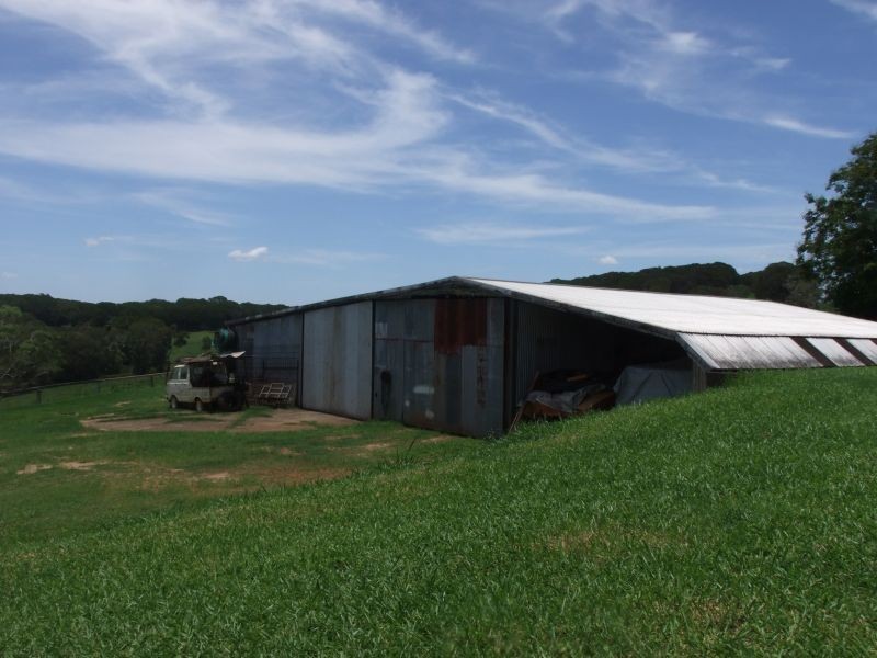 Yungaburra QLD 4884