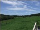 Yungaburra QLD 4884