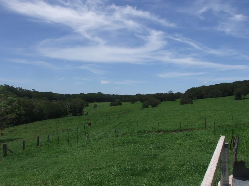 Yungaburra QLD 4884