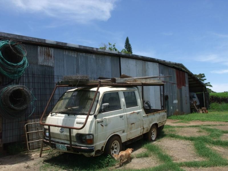 Yungaburra QLD 4884