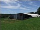 Yungaburra QLD 4884