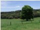 Yungaburra QLD 4884