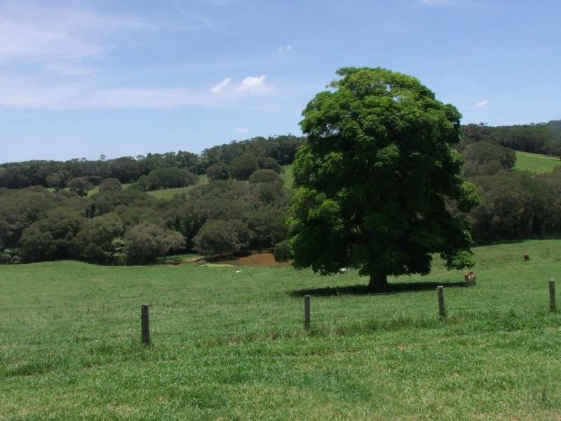 Yungaburra QLD 4884