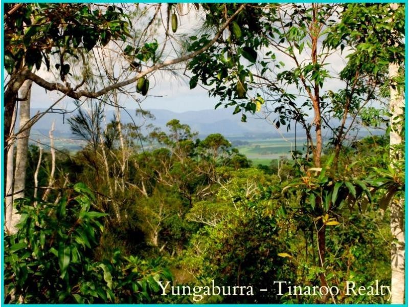 Yungaburra QLD 4884