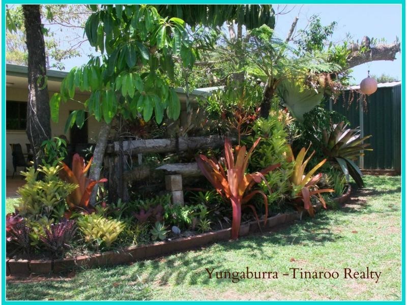 Yungaburra QLD 4884