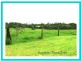 Yungaburra QLD 4884
