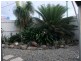 Westcourt QLD 4870