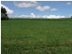 Yungaburra QLD 4884