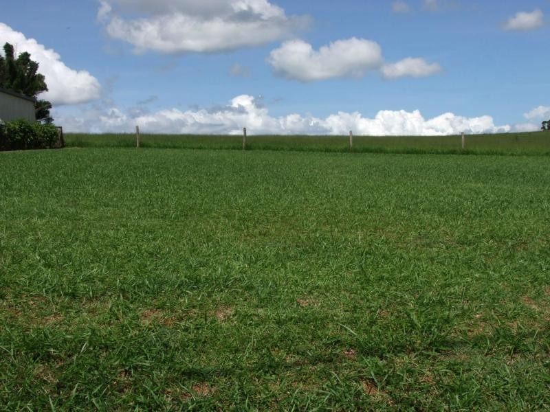 Yungaburra QLD 4884