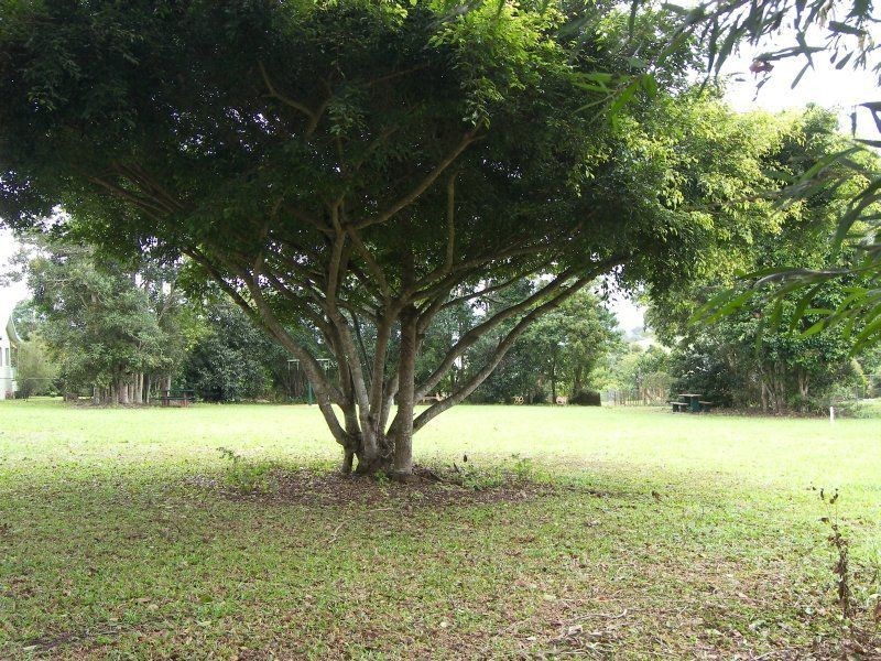 Yungaburra QLD 4884