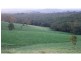Yungaburra QLD 4884