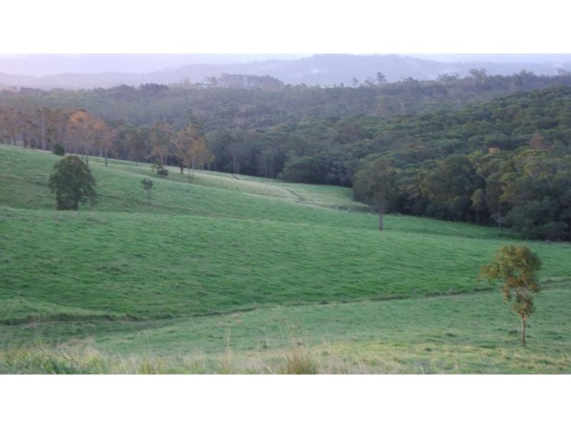 Yungaburra QLD 4884