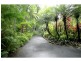20b Greenhills Road, Kuranda QLD 4881