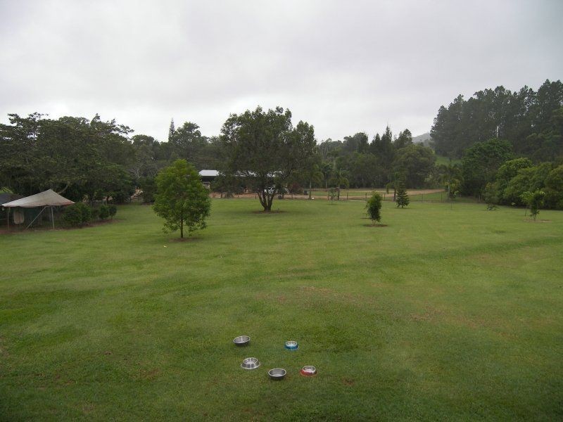 Lake Eacham QLD 4884