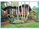 Yungaburra QLD 4884