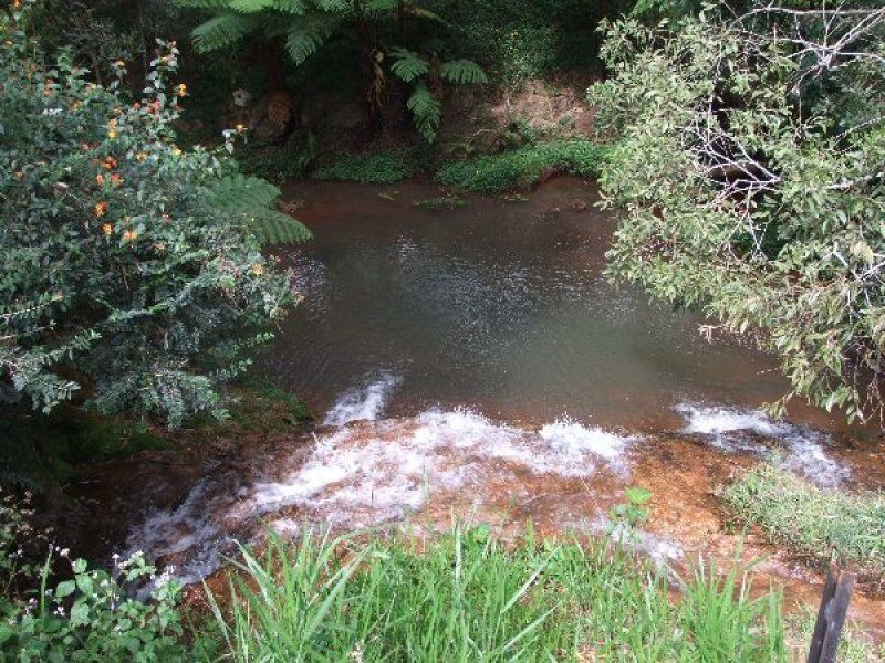 Yungaburra QLD 4884