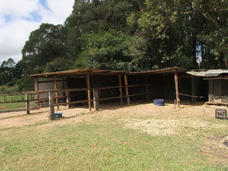 Yungaburra QLD 4884
