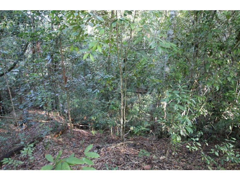 Peeramon QLD 4885