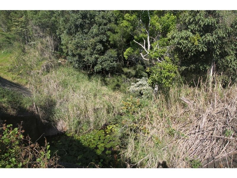 Lake Eacham QLD 4884