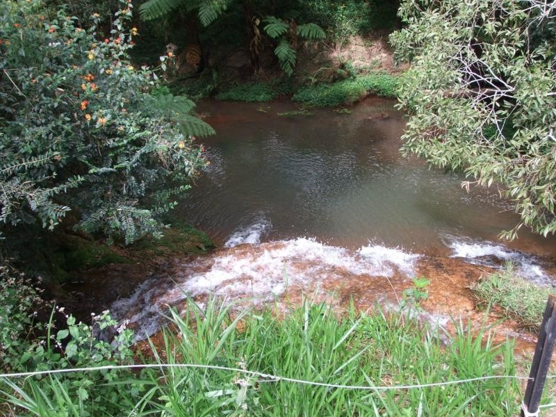 Lake Eacham QLD 4884