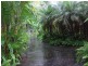 20 Greenhills Road, Kuranda QLD 4881