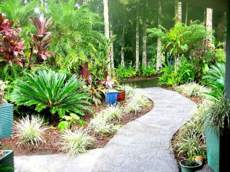 20 Greenhills Road, Kuranda QLD 4881