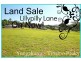 Yungaburra QLD 4884