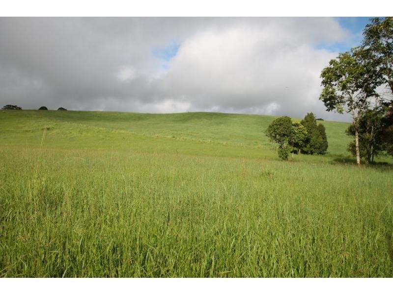 Yungaburra QLD 4884