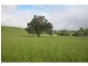 Yungaburra QLD 4884