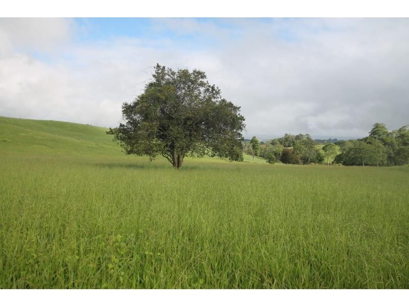 Yungaburra QLD 4884