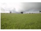 Yungaburra QLD 4884