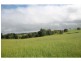 Yungaburra QLD 4884