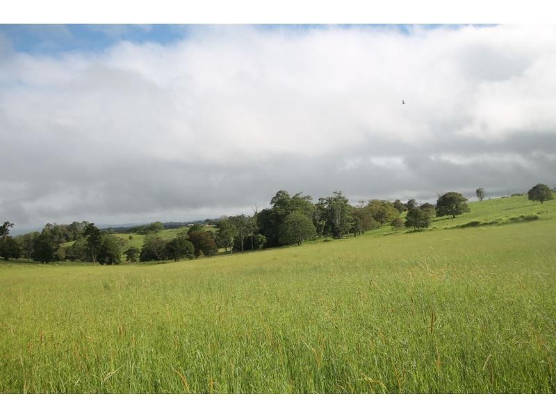 Yungaburra QLD 4884