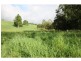 Yungaburra QLD 4884