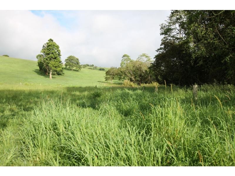 Yungaburra QLD 4884